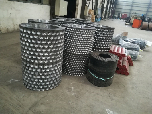 Voorziening van 1-30 t/h Briquette Machine Roll Segment en Lagers voor Cold Hot Roller