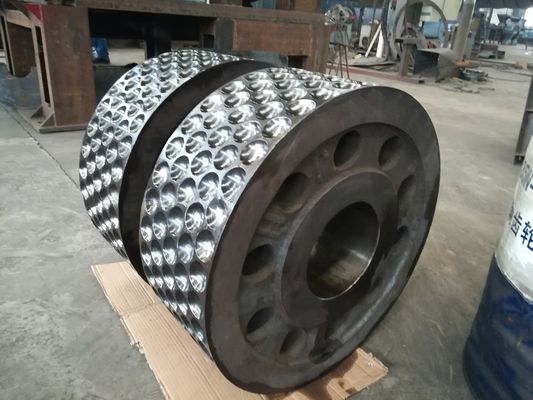 Spareonderdelen voor steenkoolrolbriketteringsmachine schroefvoersysteem en rolhuls