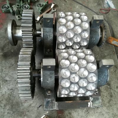 Spareonderdelen voor steenkoolrolbriketteringsmachine schroefvoersysteem en rolhuls